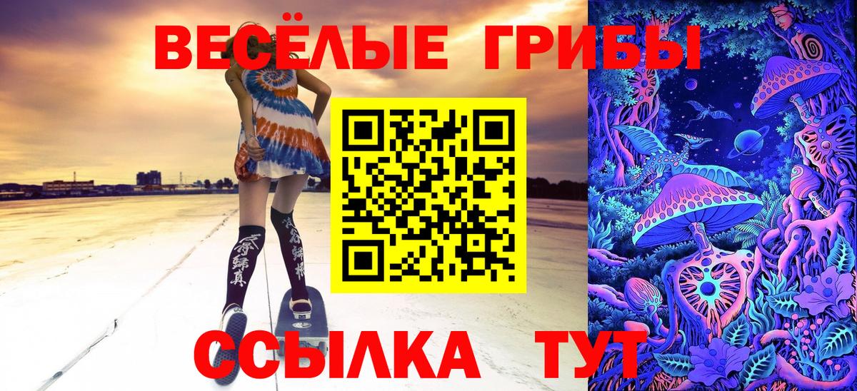 Галлюциногенные грибы GOLDEN TEACHER Сергиев Посад